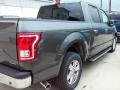 Magnetic - F150 XLT SuperCrew Photo No. 27