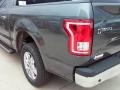 Magnetic - F150 XLT SuperCrew Photo No. 29