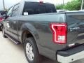 Magnetic - F150 XLT SuperCrew Photo No. 30