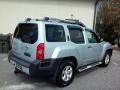 Silver Lightning Metallic - Xterra S Photo No. 8
