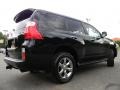 Black Onyx - GX 460 Photo No. 10