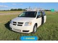 Stone White - Grand Caravan SE Photo No. 2