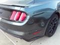 Magnetic - Mustang GT Premium Coupe Photo No. 3