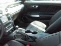 Magnetic - Mustang GT Premium Coupe Photo No. 15