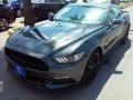 Magnetic - Mustang GT Premium Coupe Photo No. 26