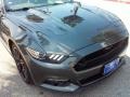 Magnetic - Mustang GT Premium Coupe Photo No. 30