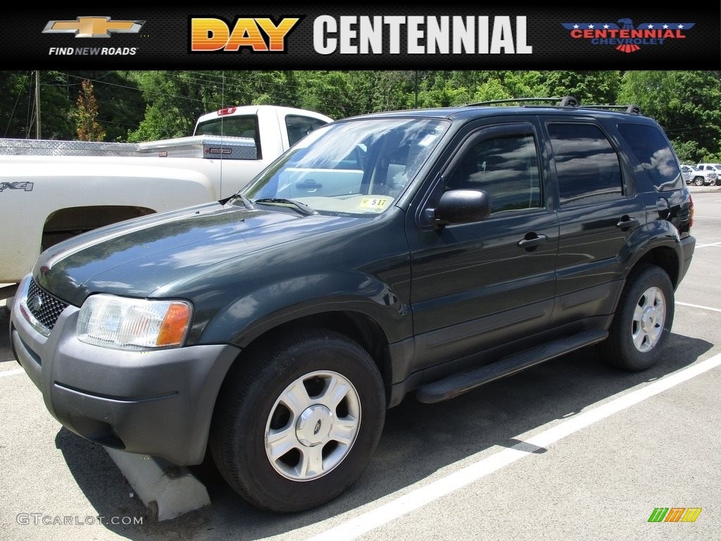 Aspen Green Metallic Ford Escape