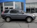 Pewter Pearl - CR-V SE 4WD Photo No. 2