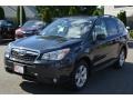 Dark Gray Metallic - Forester 2.5i Touring Photo No. 7