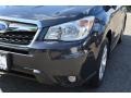 Dark Gray Metallic - Forester 2.5i Touring Photo No. 32