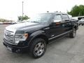 Tuxedo Black - F150 Platinum SuperCrew 4x4 Photo No. 12