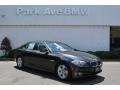 2013 Dark Graphite Metallic II BMW 5 Series 528i xDrive Sedan  photo #1