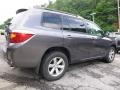 Magnetic Gray Metallic - Highlander 4WD Photo No. 6