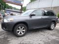 Magnetic Gray Metallic - Highlander 4WD Photo No. 11