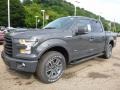 Lithium Gray - F150 XLT SuperCrew 4x4 Photo No. 6