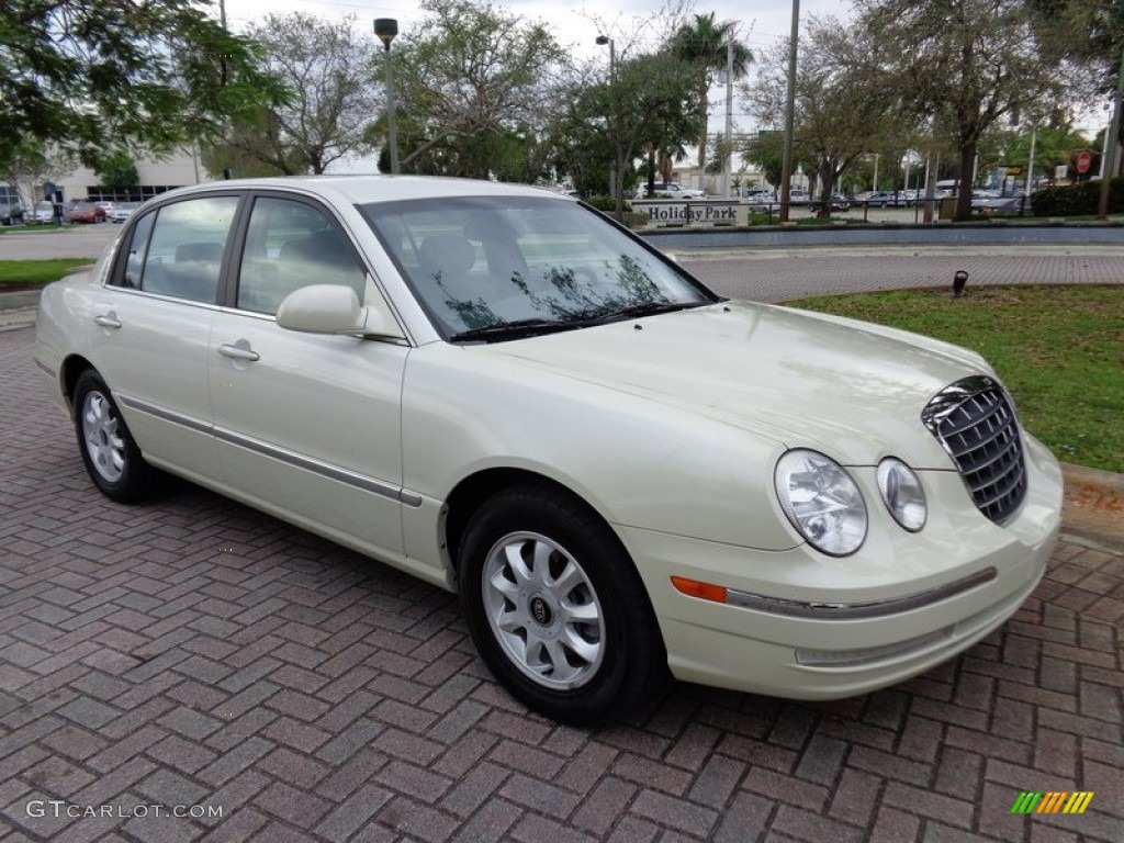 2005 Amanti  - Pearl White / Gray photo #12