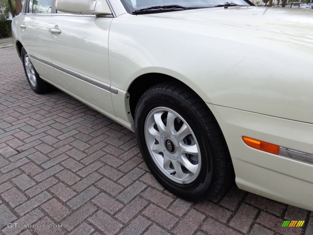 2005 Amanti  - Pearl White / Gray photo #20