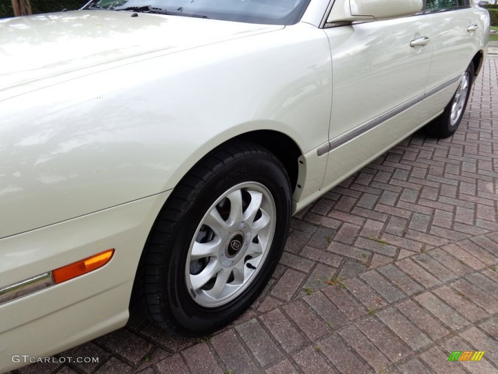 2005 Amanti  - Pearl White / Gray photo #24