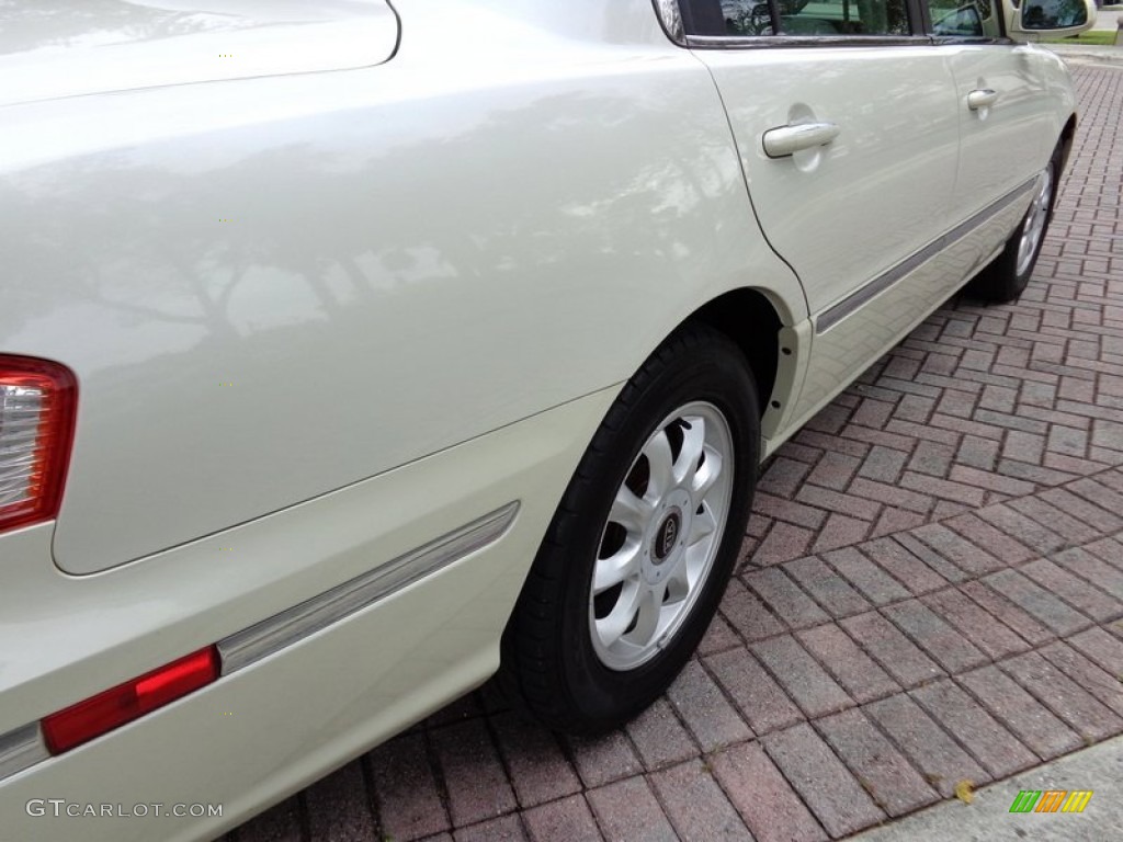 2005 Amanti  - Pearl White / Gray photo #30