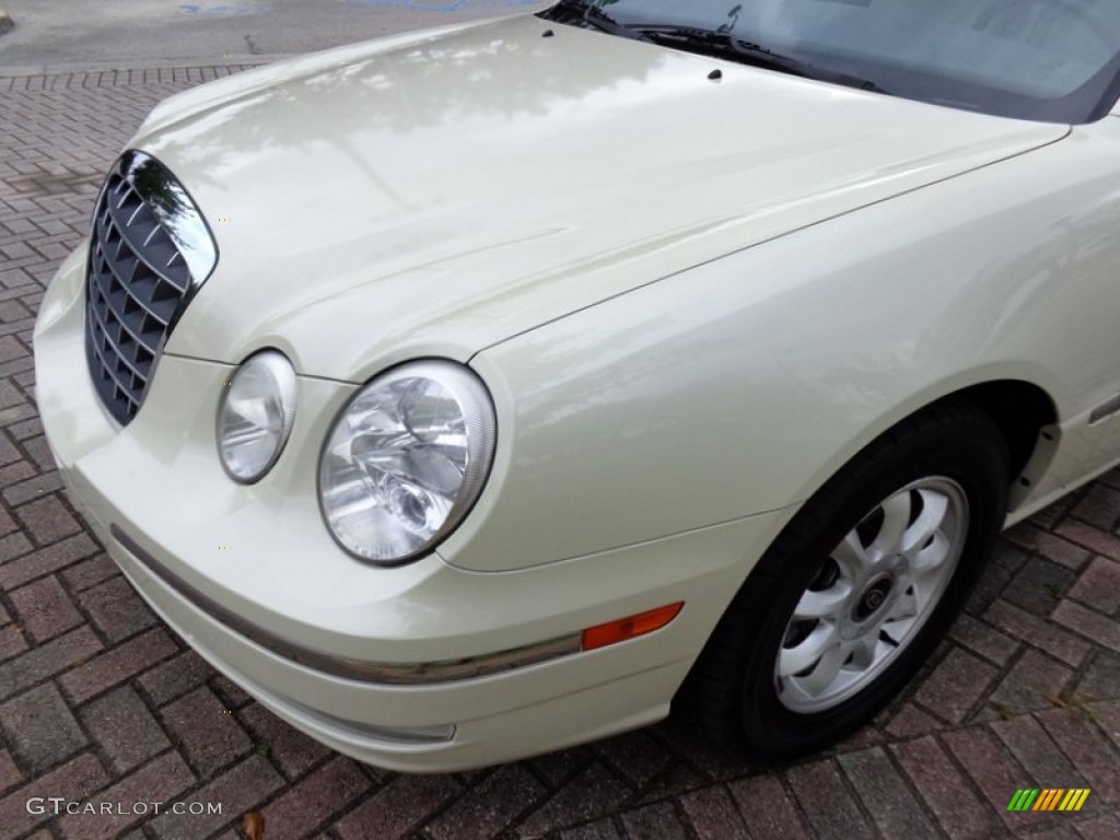 2005 Amanti  - Pearl White / Gray photo #42