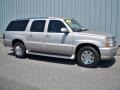 Quicksilver - Escalade ESV AWD Photo No. 1