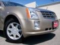 Sand Storm - SRX V6 Photo No. 2