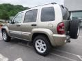 Light Khaki Metallic - Liberty Limited 4x4 Photo No. 2