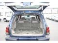2002 Indigo Blue Metallic Chevrolet TrailBlazer LS 4x4  photo #7