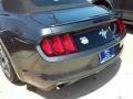 Magnetic Metallic - Mustang V6 Convertible Photo No. 11