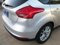 Ingot Silver - Focus SE Hatch Photo No. 11