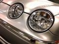 Platinum Metallic - S-Type 4.0 Photo No. 20