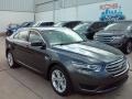 Magnetic 2016 Ford Taurus SE