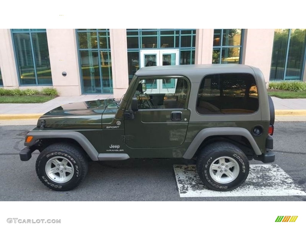 2006 Wrangler Sport 4x4 - Jeep Green Metallic / Khaki photo #5