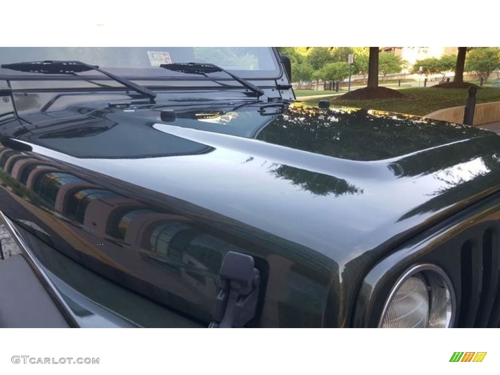 2006 Wrangler Sport 4x4 - Jeep Green Metallic / Khaki photo #31