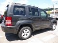 2010 Dark Charcoal Pearl Jeep Liberty Sport 4x4  photo #6