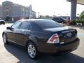 Charcoal Beige Metallic - Fusion SEL Photo No. 7