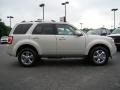 2009 Light Sage Metallic Ford Escape Limited  photo #2
