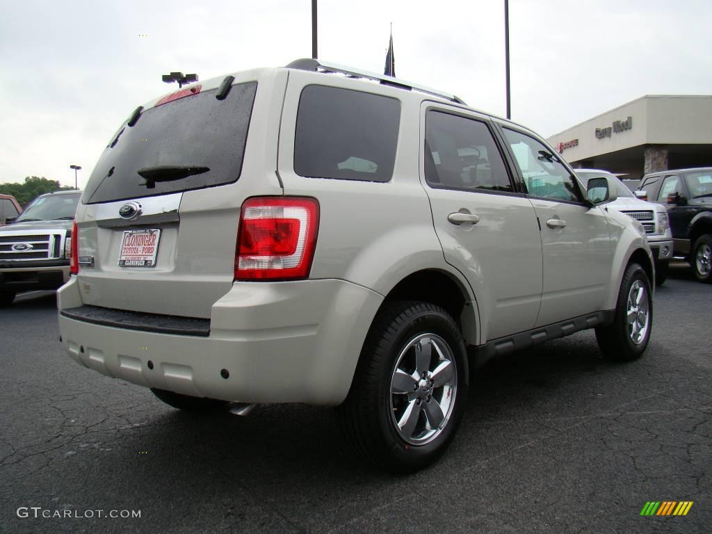 2009 Escape Limited - Light Sage Metallic / Charcoal photo #3