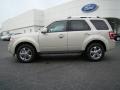 2009 Light Sage Metallic Ford Escape Limited  photo #5