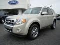 2009 Light Sage Metallic Ford Escape Limited  photo #6