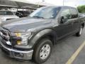 Magnetic - F150 XLT SuperCrew Photo No. 2