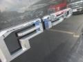 Magnetic - F150 XLT SuperCrew Photo No. 6