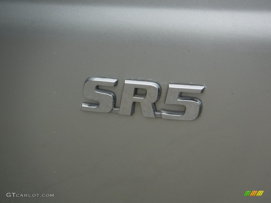 1999 4Runner SR5 - Desert Dune Metallic / Oak photo #10