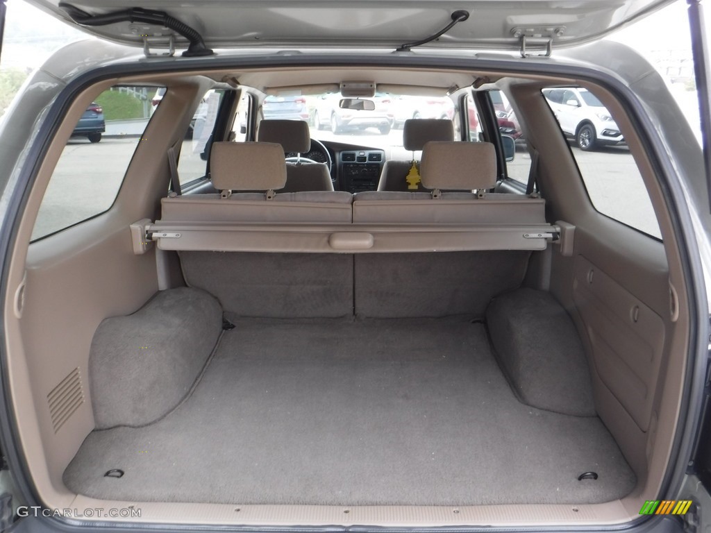 1999 4Runner SR5 - Desert Dune Metallic / Oak photo #17