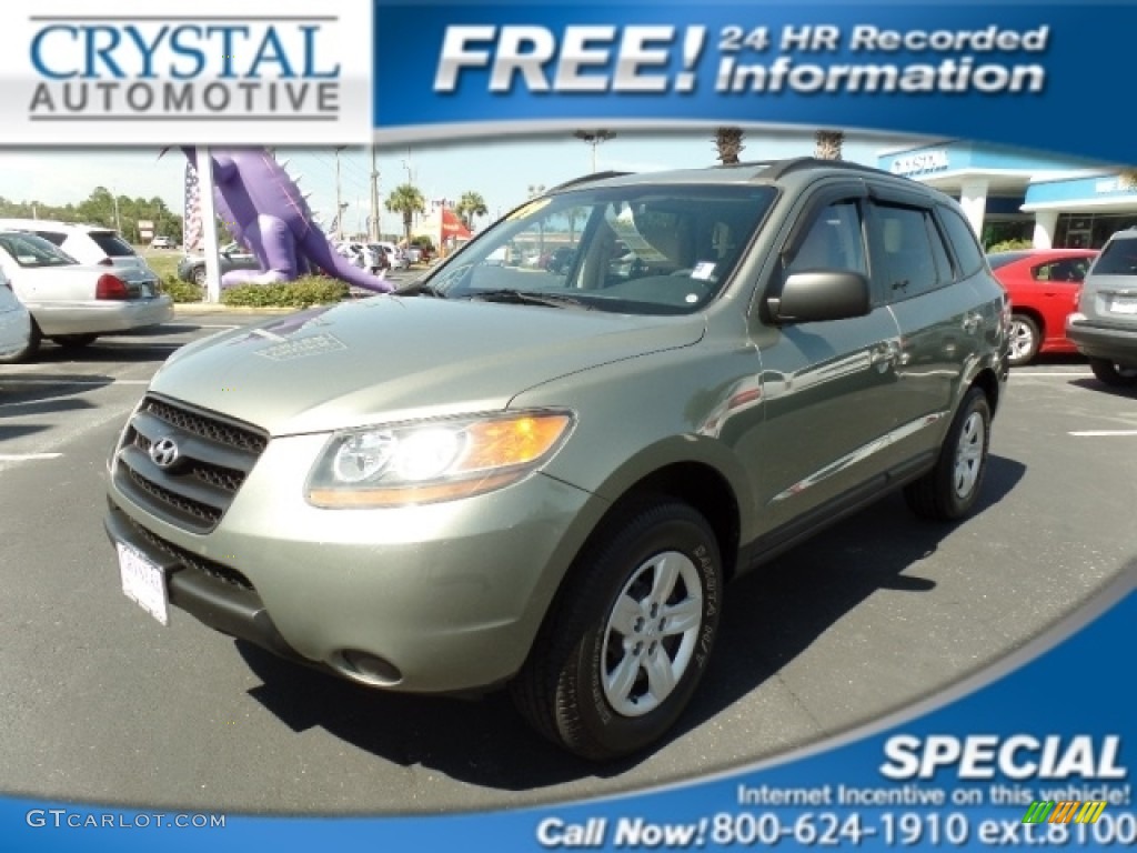 2009 Santa Fe GLS - Natural Khaki / Beige photo #1