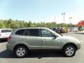 2009 Natural Khaki Hyundai Santa Fe GLS  photo #10