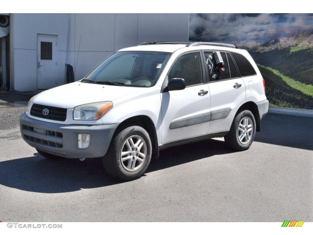 2001 RAV4 4WD - Natural White / Gray photo #5