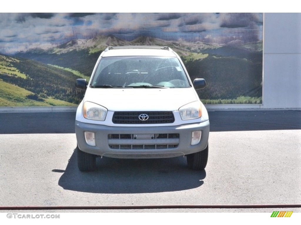 2001 RAV4 4WD - Natural White / Gray photo #6