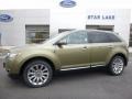 Ginger Ale 2013 Lincoln MKX AWD