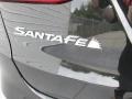 2016 Platinum Graphite Hyundai Santa Fe Sport   photo #15